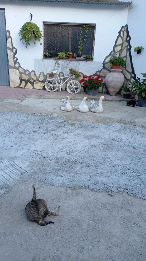 Cueva De La Abuela Villa Los Carriones Eksteriør billede
